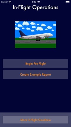 In-Flight Operations screenshot