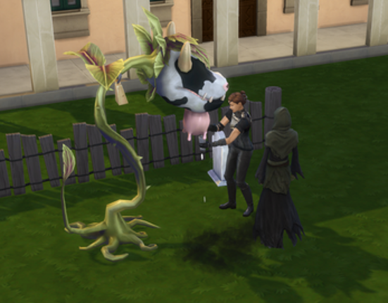 Let Them Eat Cake (Fun with Cowplants) Image