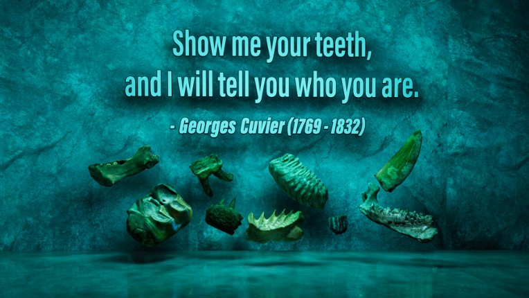 SHADOWBOX: Mausoleum of Natural History screenshot