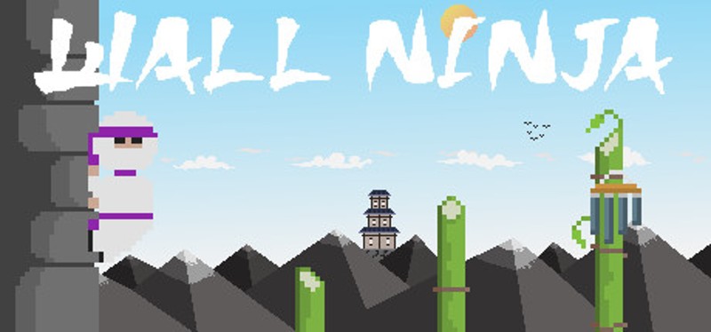 Wall Ninja Image