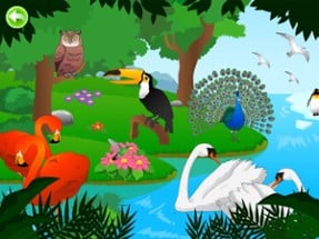 Birds for Kids HD - FREE Game Image