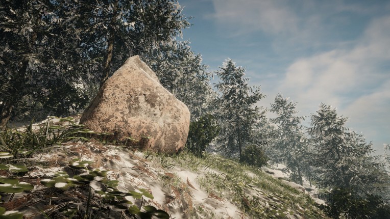 Determinant screenshot