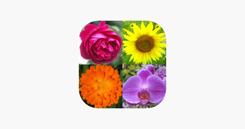 Flowers Quiz - Identify Plants Game Cover