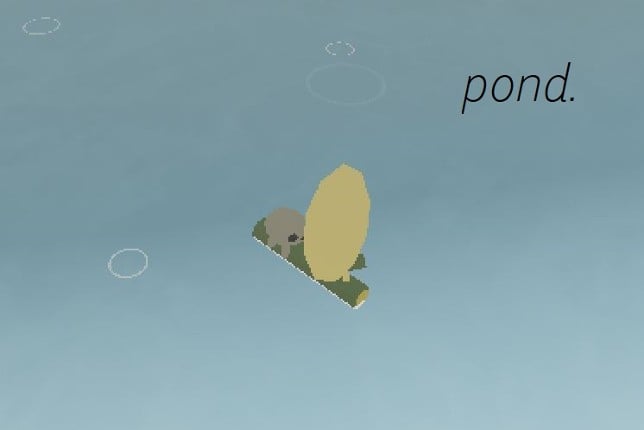 pond. Game Cover