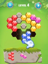 Hexa Block - Jewel Beehive Image