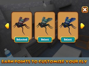 House Fly Insect Survival Simulator Image