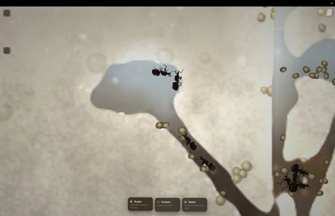 My First Ant Farm screenshot