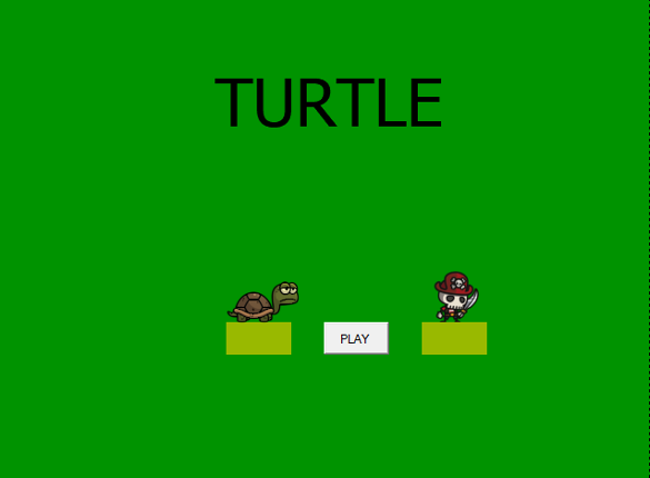 Turtle Image