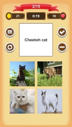 Cats - Quiz screenshot