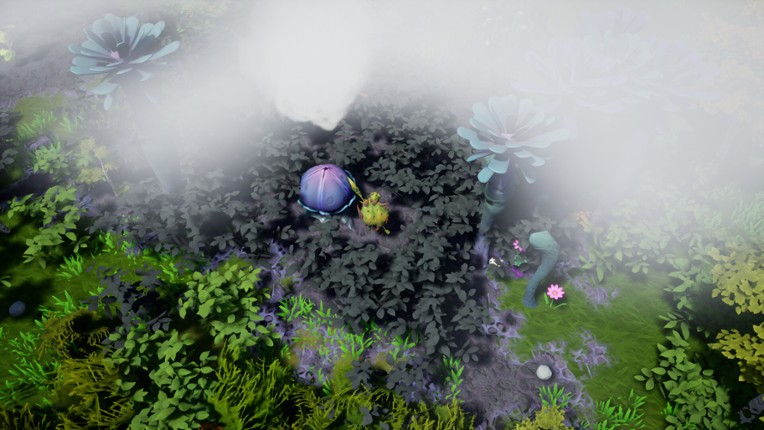 Emberhaven Image