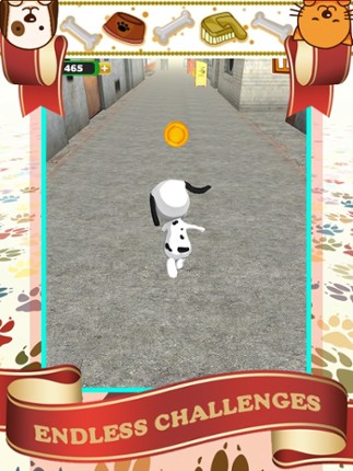 Fun Pet Animal Run Game - The Best Running Games For Boys And Girls For Free screenshot