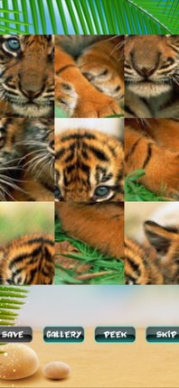 Funny Puzzles screenshot