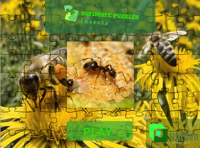 Ultimate Puzzles Insects Image