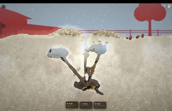 My First Ant Farm screenshot