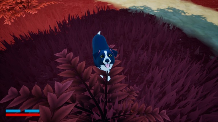 Raining Cats and Dogs Image