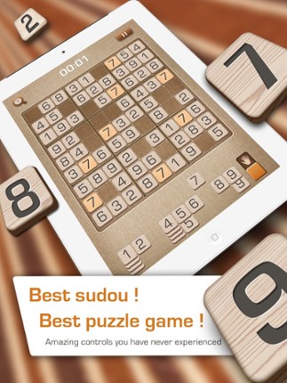 Sudoku Terminator Image