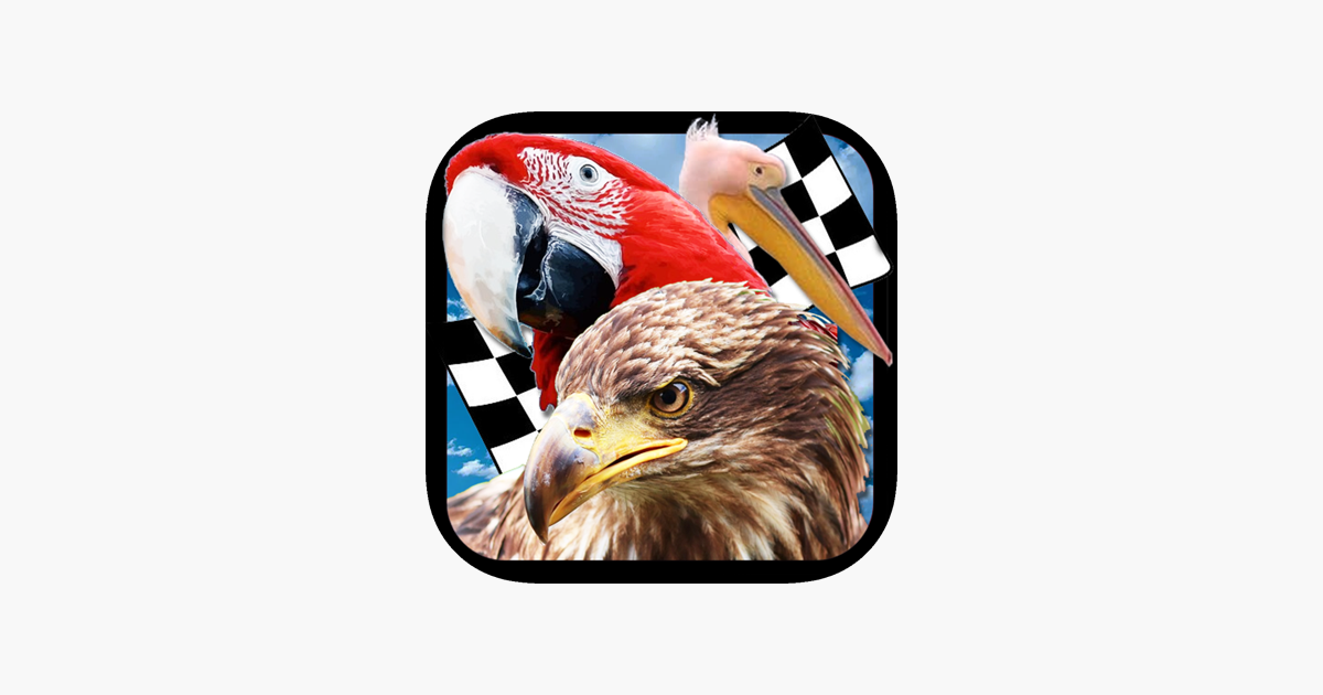 Games like Bird Race 3D