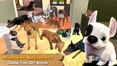 Cat &amp; Dog Online: Multiplayer Kitten &amp; Puppy Sim Image