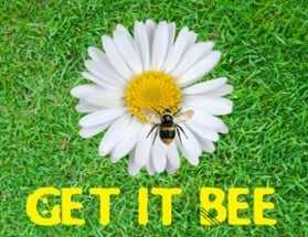 GET IT BEE Image