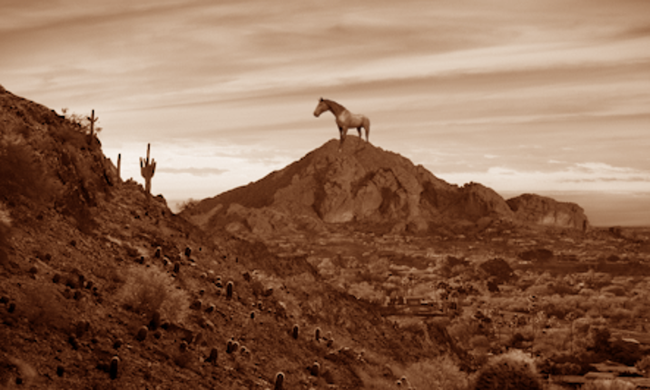 Let's Kill the Horse Image