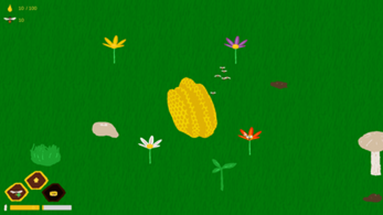 APIS Image