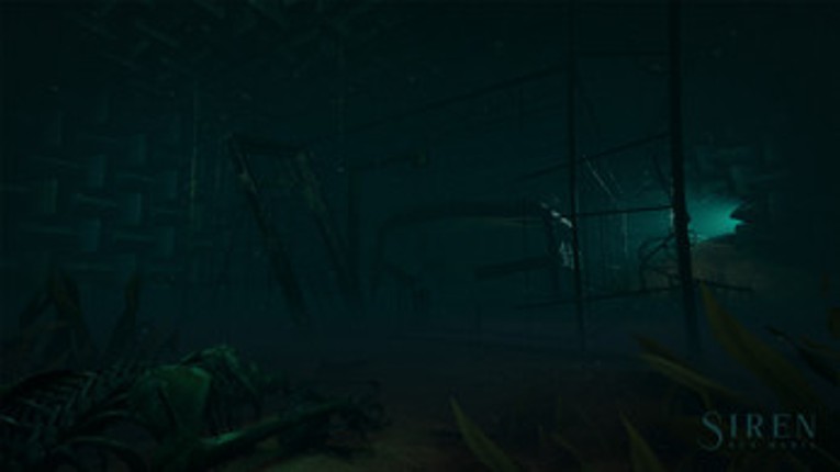 Siren Rex Maria Image