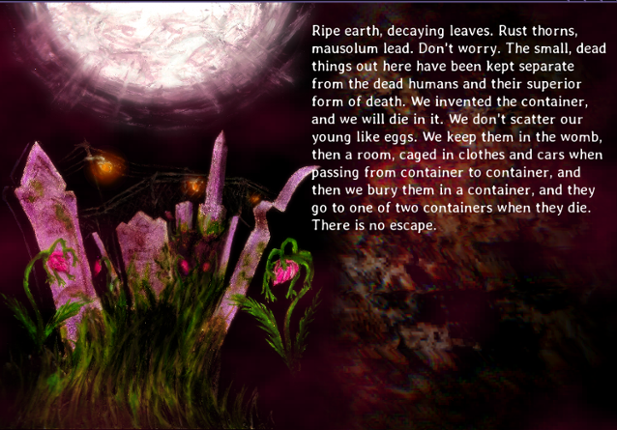 Perfect Tense: Maggot Therapy Image