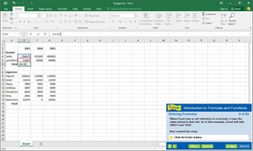 Professor Teaches Excel 2016 Image