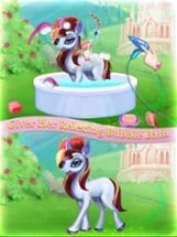 Rainbow Pony Princess Unicorn Image