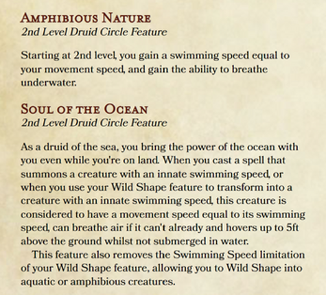 Druid Subclass - The Circle of Seas (D&D 5e) screenshot