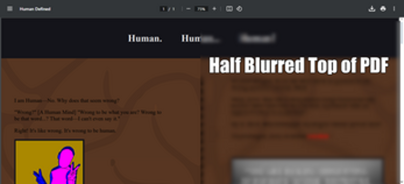 Human Defined Zine Image