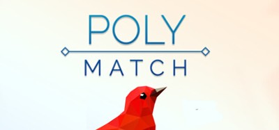 Poly Match Image