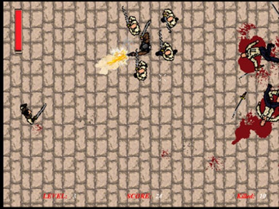Swashbuckler Image