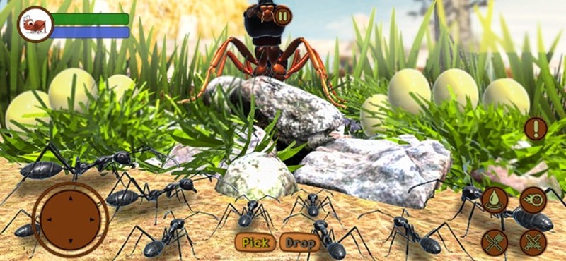 Ant Insect Life Survival War screenshot