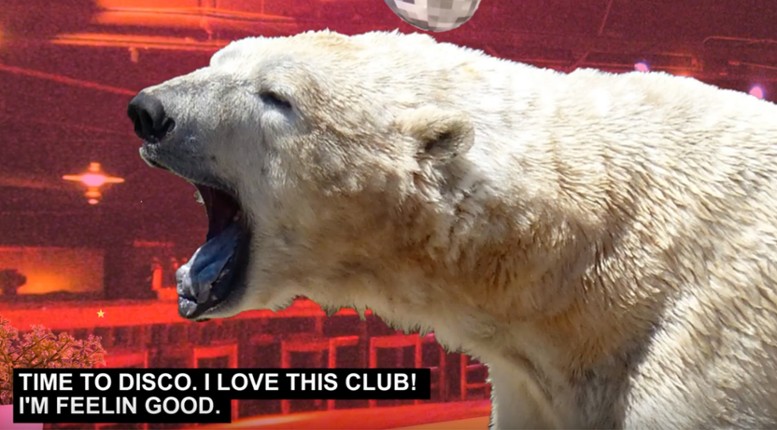 Disco Bear screenshot