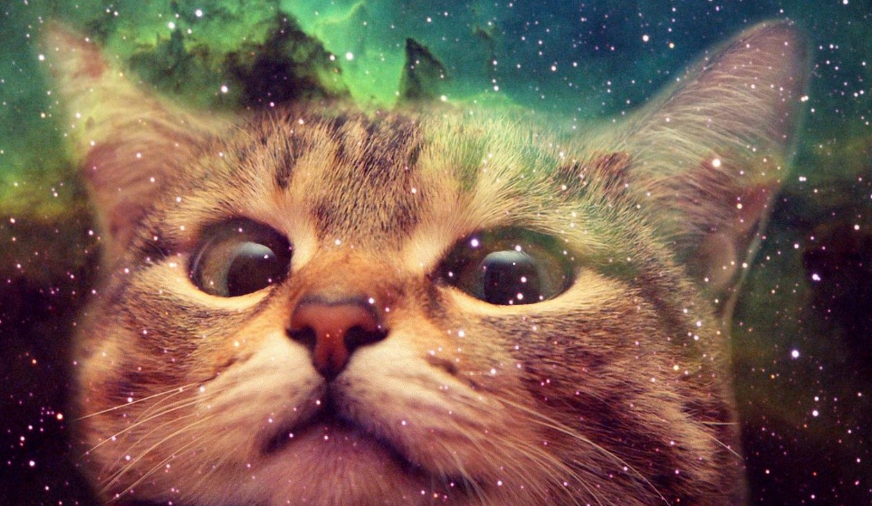 Games like Run Kitty Run!!!