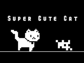 Super Cute Cat Image