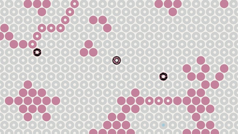 What Surrounds Us Image