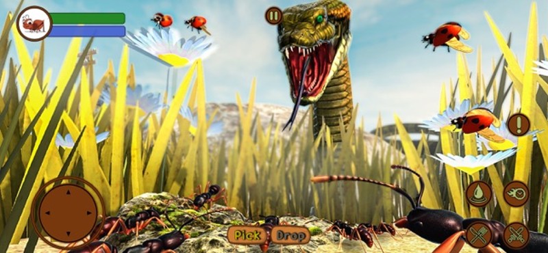 Ant Insect Life Survival War screenshot