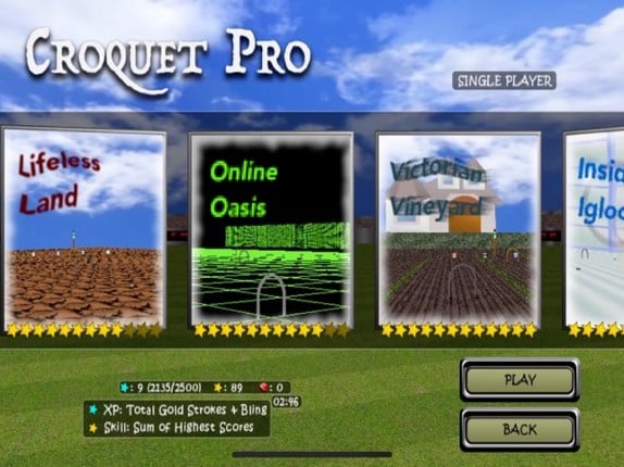 Croquet Pro screenshot