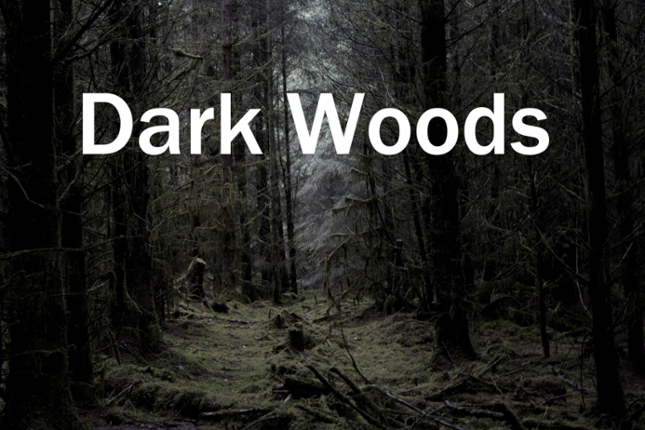 Dark Woods Image