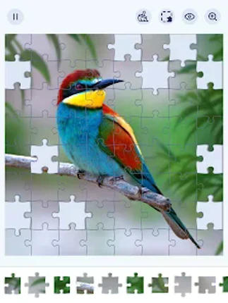 Jigsaw Puzzles - Jigsawgram screenshot