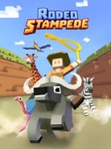 Rodeo Stampede: Sky Zoo Safari Image