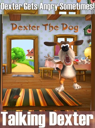 Talking Dexter The Dog Image