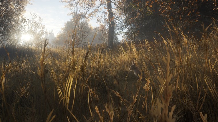 theHunter: Call of the Wild Image