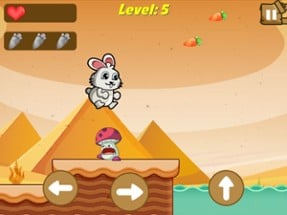 Bunny Run : Desert Escape Image