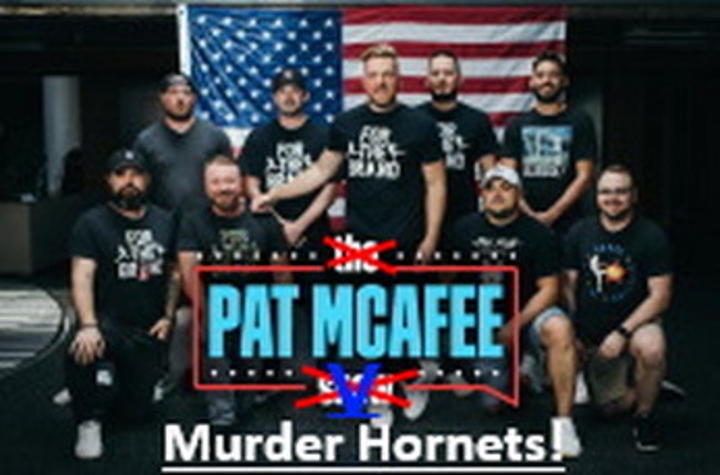 McAfee V Murder Hornets Image