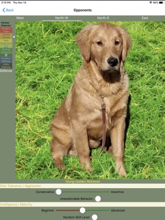 K9 Sheepshead: Schafkopf Image