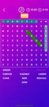 Word Search Primary Image