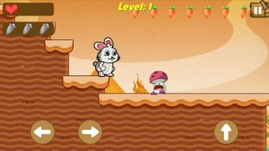 Bunny Run : Desert Escape Image